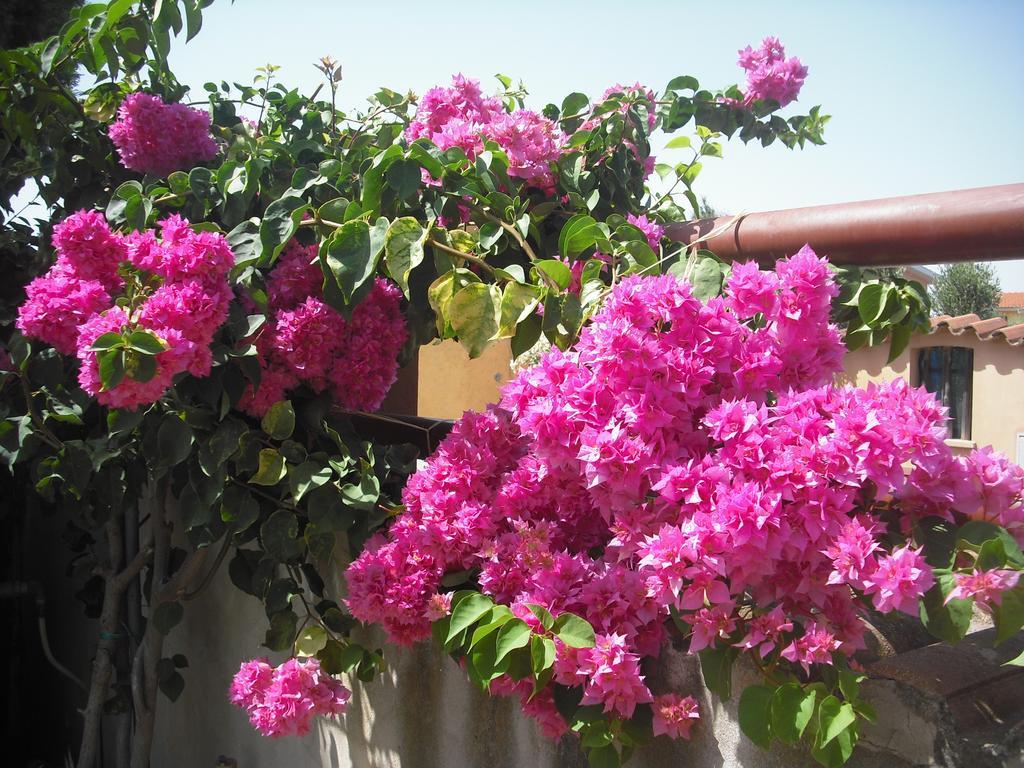 B&B Hibiscus Capoterra Luaran gambar